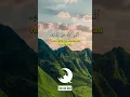 Download Lagu Surah Ali Imran Ayah 102 | Mishary Rashid Alafasy #shorts