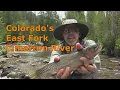 Fishing EF Cimarron River Colorado