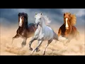 Download Lagu 🐎 HORSES GALLOPING Sound Effect 📢 1 HOUR ▶️ Relax | ASMR | Sleep | Writing | Lifetime Memories