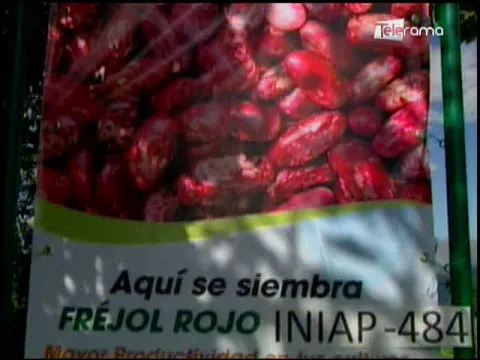 Ecuador Agropecuario 26-07-2018