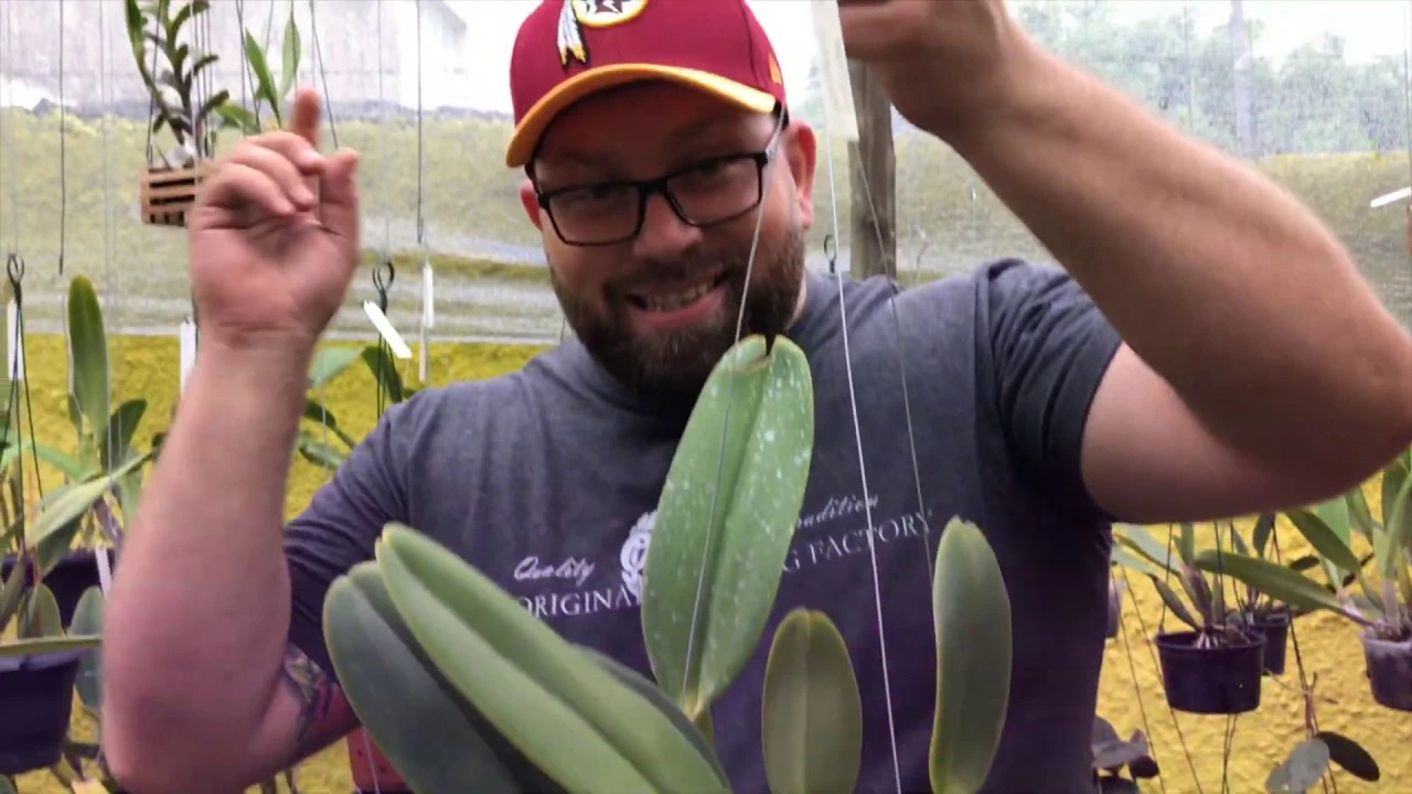 COMO FAZER SUPORTE DE 3 PONTAS PARA PENDURAR VASOS DE PLANTAS E ORQUÍDEAS