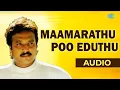 Lagu Maamarathu Poo Audio Song | Oomai Vizhihal | Manoj Gyan
