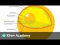 Nucleus Cell The Unit of Life Subject Khan Academy