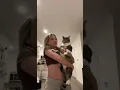 Cat NOT impressed with owners Dora impression