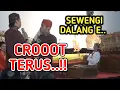 Download Lagu KANGEN PEYE - WAYAHE SURO DALANG E MALAH CROOOTT