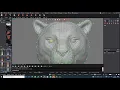 Tiger Head designed in MatrixGold - Speed Modeling
