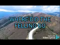 Air supply-Where did the feeling go lyrics
