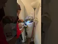 Treating a Roach Infestation