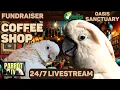 Download Lagu Coffee Shop Birbs | Happy Jazzy Cafe Vibes w/Cozy Nature Sounds for Birds—Parrot Rescue Fundraiser🦜