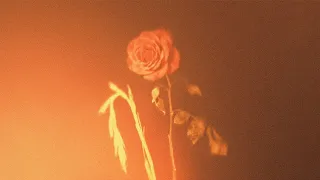                                      مازن و كاشا   عايزاني أقول إيه                    دندنها