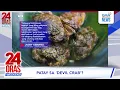 Lagu Vlogger, patay matapos umanong malason ng nakaing 'devil crab'  | 24 Oras Weekend