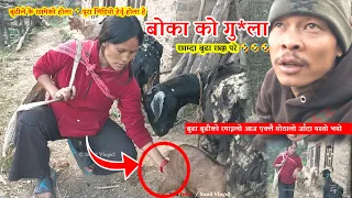 dherai mahina paxi bakhra gothalo jada yasto vyo gothalo vlog gothalo sunil vlogs2