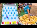 Download Lagu DESAFIO DO TABULEIRO: Acerte a Bolinha e Ganhe FRANGO INTEIRO!