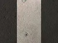 Safety cover anchor removal tool How to cheaply and easily remove safety cover anchors from concrete
