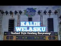 Download Lagu DJ KALIH WELASKU VERSI THAILAND STYLE KENDANG BANYUWANGIAN TERBARU