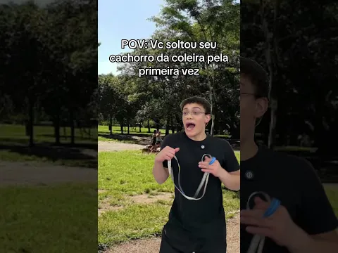 Os cachorros quase saem voando sem coleira #shorts