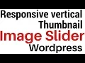 Responsive Vertical Thumbnail Image Slider Plugin WordPress 4 8