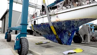 Can You DIY Haul Out in Florida?! | Sailing Wisdom [S5 Ep18]