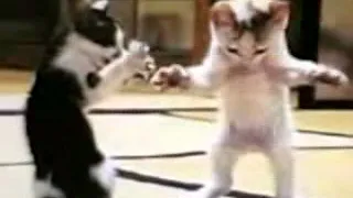 كككك دندنها
