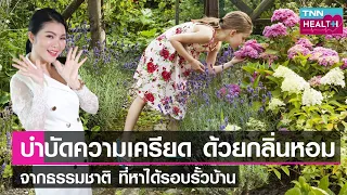  กลิ่นตะไคร้ไทยช่วยบรรเทาอาการอะไรได้บ้าง 