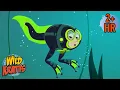 Activate Frog Powers The Frog Life Cycle New Compilation Wild Kratts