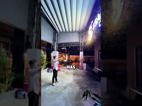 How To Catch Mosquitoes with Your Phone