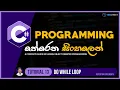 C Sinhala - Tutorial 13 Do While Loop