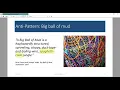 CTS En Course 8 Intro into Design Patterns