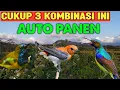 Download Lagu Untuk Pikat Burung Hanya Kombinasi Sogon, Kemade, Korlap‼️Di jamin Ampuh