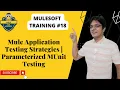 Mule Application Testing Strategies Parameterized MUnit Testing
