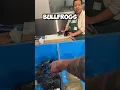 SAVING these BULLFROGS from the FOOD MARKET