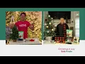 Ornament Anchor Set of 48 Holiday Ornament Hangers on QVC