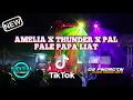 Dj AMELIA X Dj THUNDER x Pal Pale Papa Liat || Dj Viral Tiktok By Yudi Tira id ft Ds Funduraction