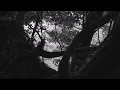 Bill Evans - "Peace Piece"