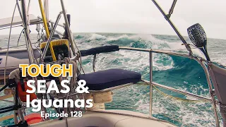 Allan’s Cay, A Tough Sail, Iguanas, and Reef Fish (Ep.128) | ⛵ The Foster Journey