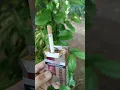 Rokok Gudang Garam International KRETEK #vidio #rokokmurahenak #shortvideo