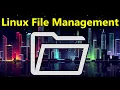 Linux File Management Basics