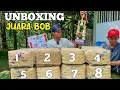 Download Lagu KANDANG MAKIN PENUH UNBOXING MERPATI BARU BANYAK BANGET