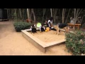 Kids in the Sandbox