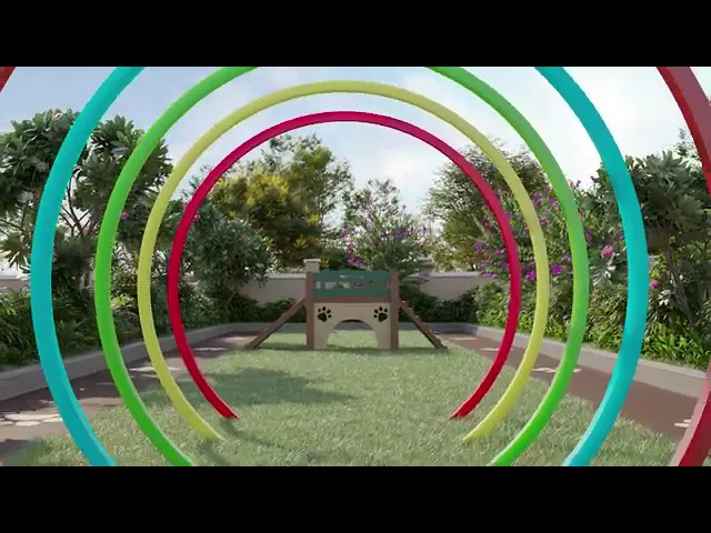 Project Video