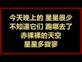 【原唱】 辛晓琪 - 《味道》 [歌词]