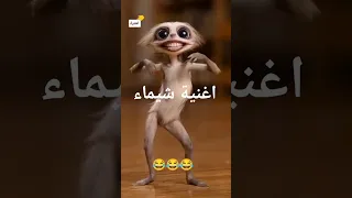 اغنية شيماء لالالا مقاطع للاطفال مضحكه حيوانات يرقصون 