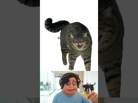 Eu fui preso por assisti esse vídeo (não assista) #shorts #gatos