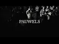 Pauwels  - Singe (live)