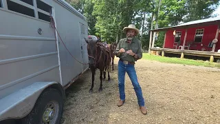 The Myth of the Mustang