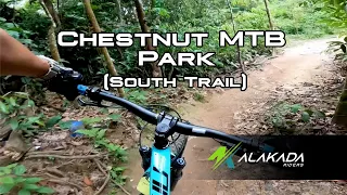 chestnut south mtb trail pov shot 