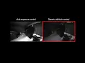 Generic Camera Attribute Control using Bayesian Optimization