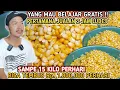 Download Lagu MASIH MUDA PENGHASILAN 1,8 JUTA PERHARI ‼️ BARU JUALAN 2 JAM LUDES SAYA BAGI ILMU 100% BERHASIL