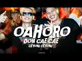 Download Lagu OAHORO X DOM SAE SAE SLOW PARTY - DJ TOPENG REMIX
