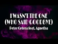 Download Lagu I WASN'T THE ONE (WHO SAID GOODBYE) - Peter Cetera feat. Agnetha | Lyric video